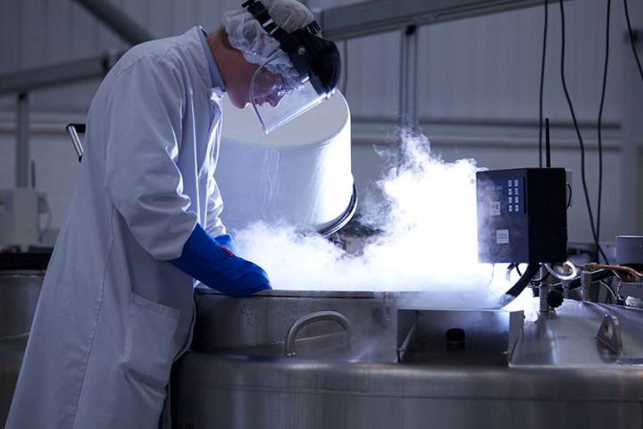 CARACTERIZACIÓN DE MATERIALES EN CONDICIONES DE CRIOGENIA EXTREMA